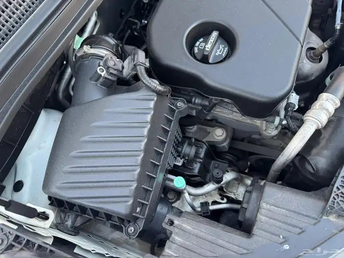 سبارك 2020 ممشى 59 21