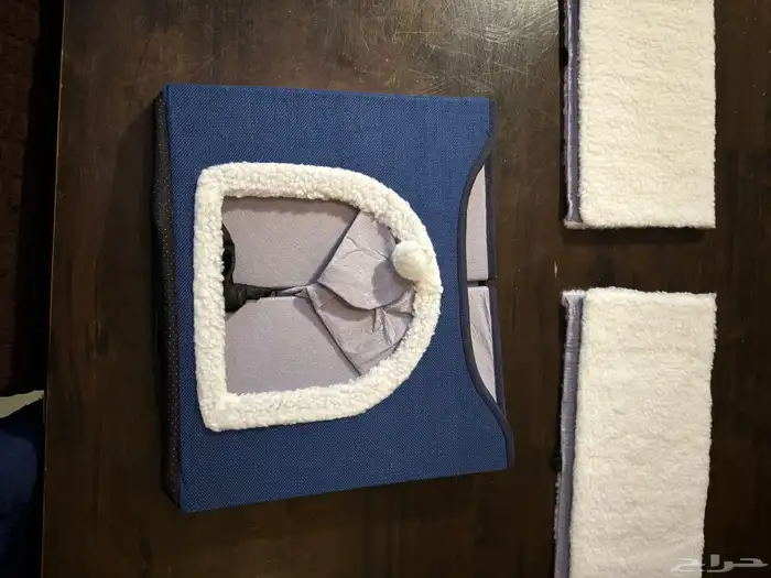 منزل حيوانات أليفة قطط 7