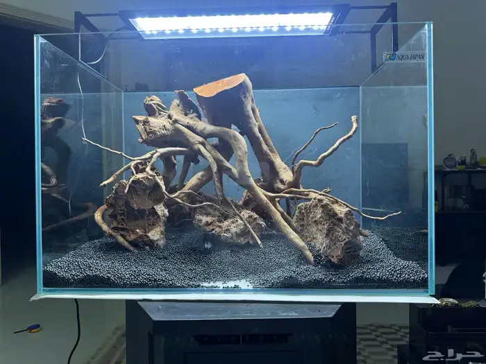 احواض سمك aquarium مزروعة  ونباتات مائية   تصاميم إحترافية 12