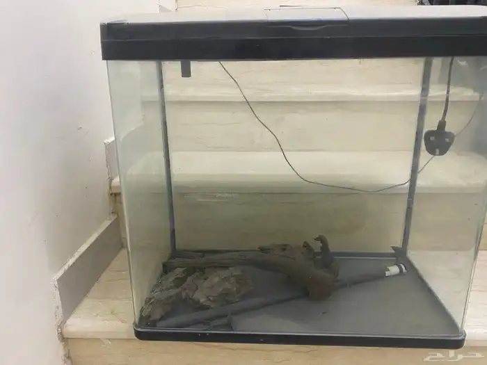 حوض سمك شبه جديد و فلتر خارجي 3