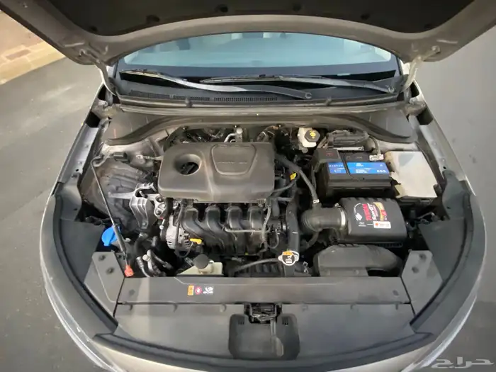 النترا 2020 نص فل 36