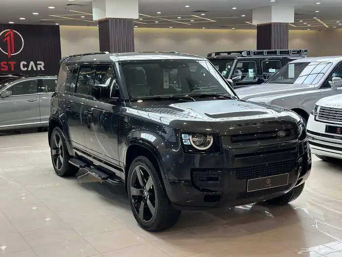 DEFENDER S P300 2024 1