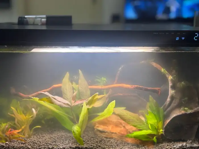 احواض سمك aquarium مزروعة  ونباتات مائية   تصاميم إحترافية 8