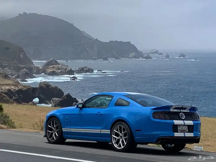 مطلوب موستنج 2014 الى 2011 wanted 1