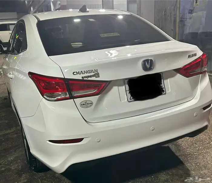 شانجان السفن 2024 للبيع 4