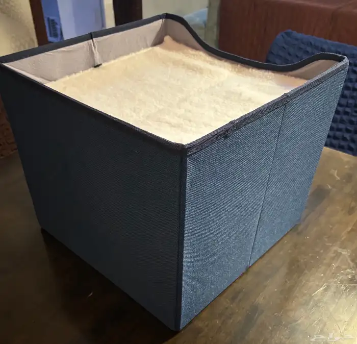 منزل حيوانات أليفة قطط 2