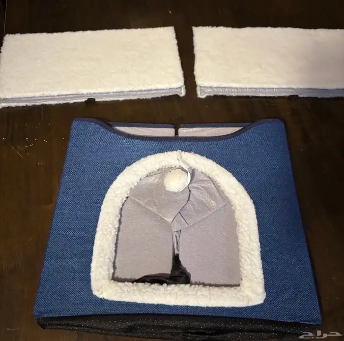 منزل حيوانات أليفة قطط 8