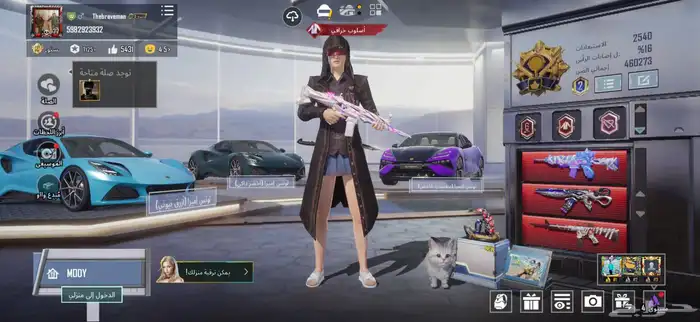 حساب ببجي للبيع 27