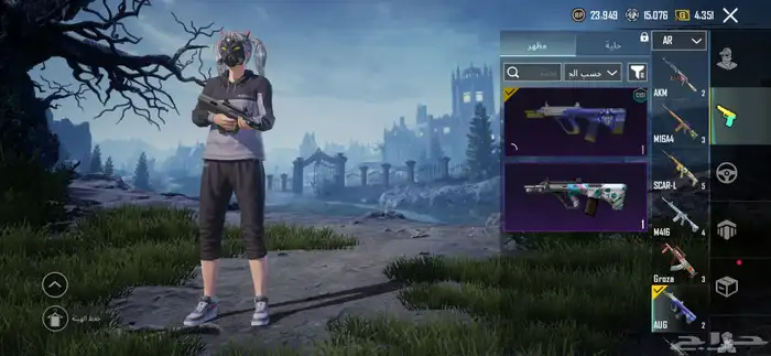 حساب ببجي عالمي للبيع 27