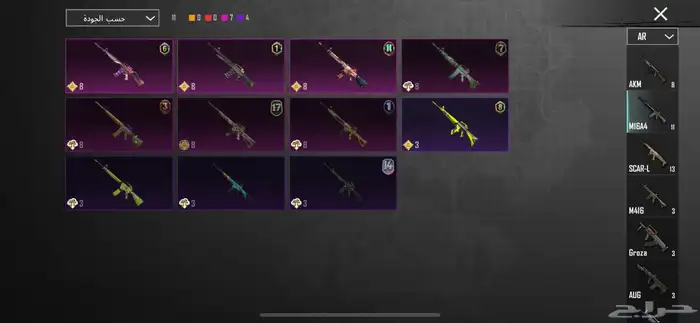 حساب ببجي 24