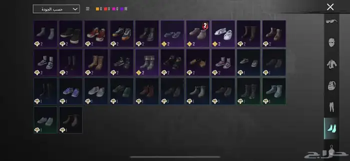 حساب ببجي 21