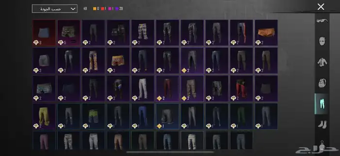 حساب ببجي 17