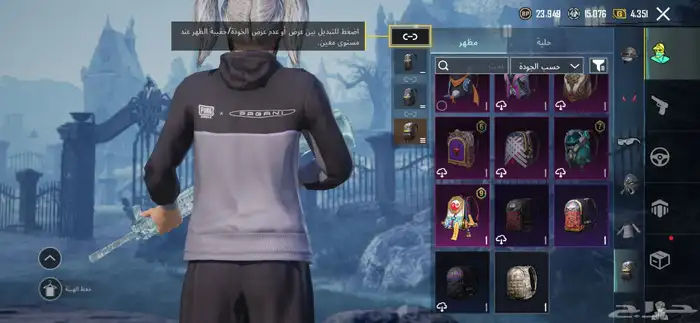 حساب ببجي عالمي للبيع 17