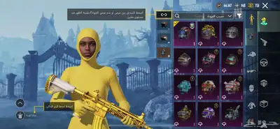 حساب ببجي index