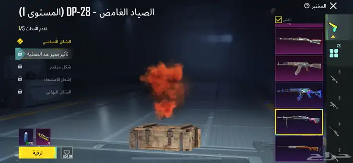 حساب ببجي 24