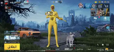حساب ببجي index