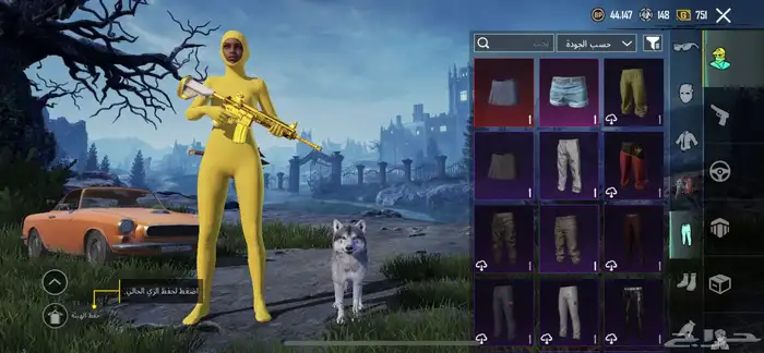 حساب ببجي 12