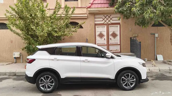 جيلي جيب كولراي 2023 1