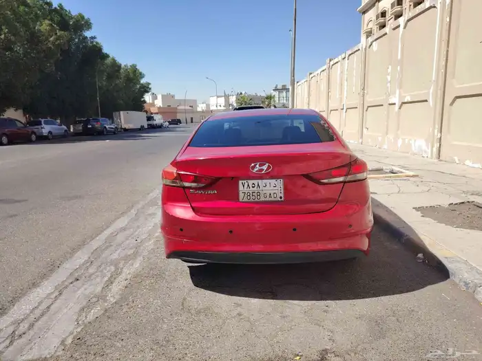 النترا 2017 30