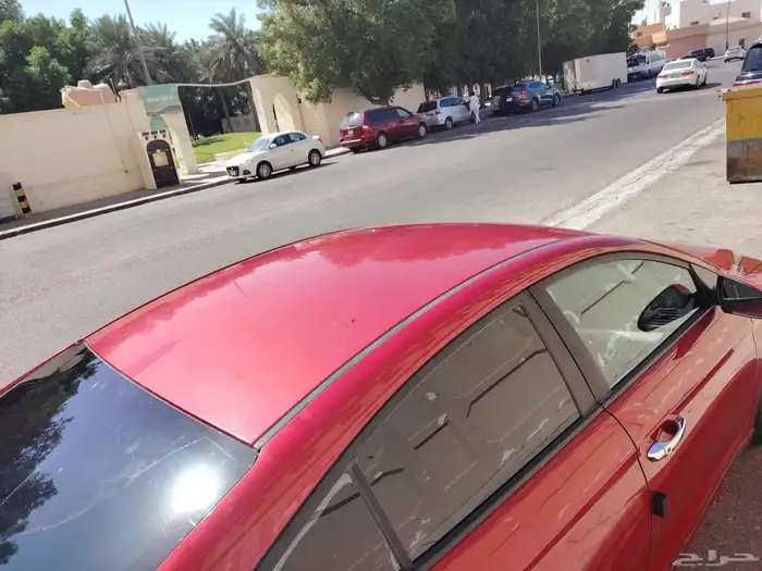 النترا 2017 22