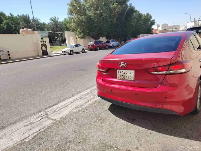 النترا 2017 28