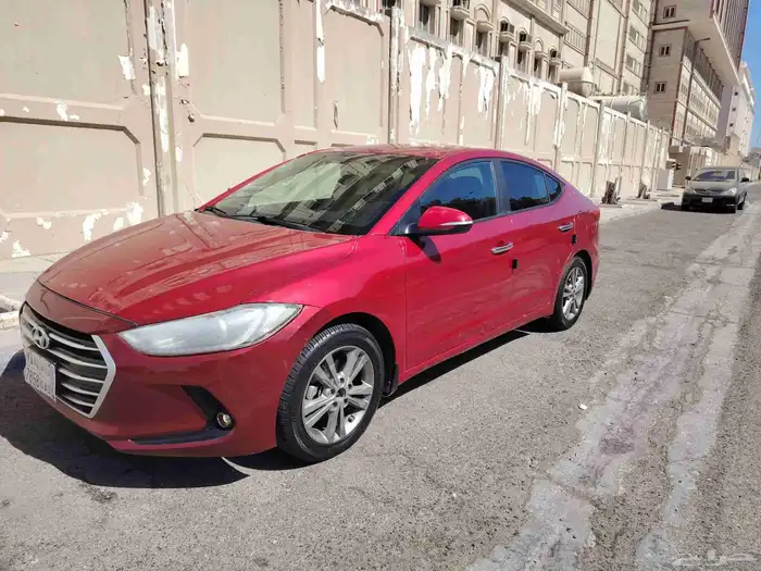 النترا 2017 32