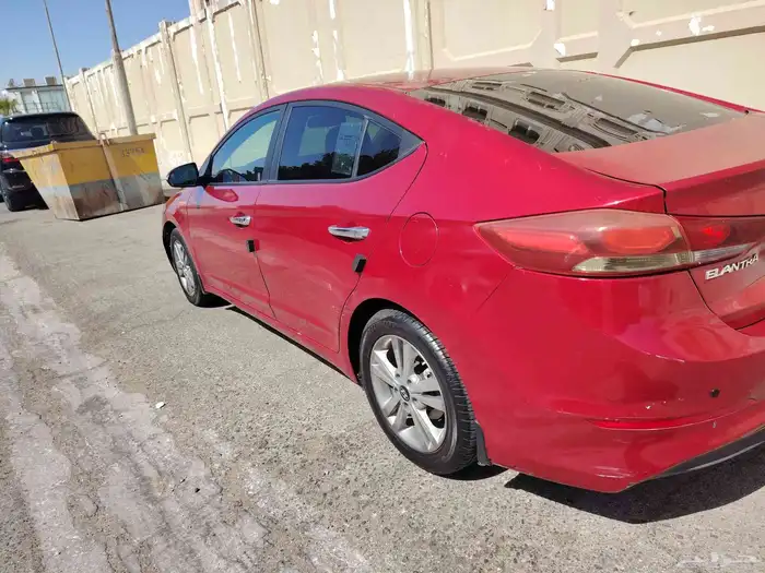 النترا 2017 31