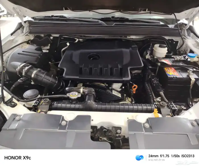 جريت وول ونجل 7 2022 16