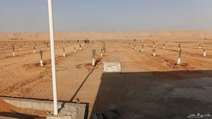 يوجدلدينا 400فروخ مجدول طيب 1