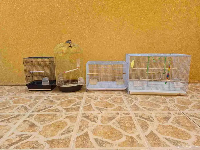 اقفاص طيور 0