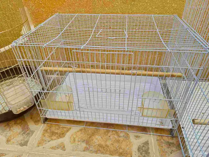 اقفاص طيور 2