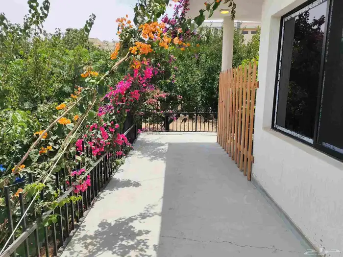 شاليهات المزرعة.. الباحة 9