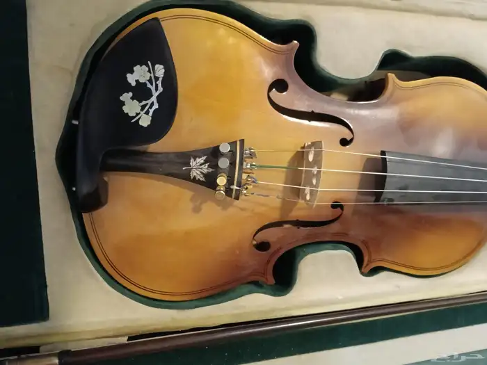 استاذ موسيقى لتعليم آلة الكمان غربي وشرقي تعليم اكاديمي 0