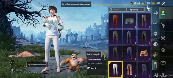 حساب ببجي 31