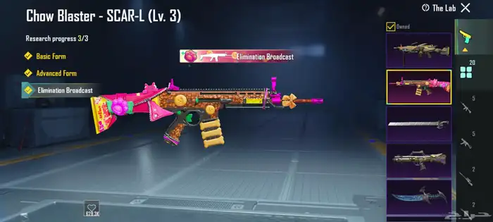 حساب ببجي 17