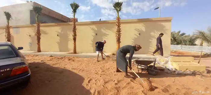 نقوم بتركيب الشبوك تحت ايادي متخصصه وتركيب النخيل 0