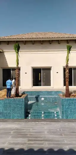 نخل للبيع بجميع انواعه وكافت مقاساته 14