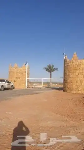 تركيب شبوك امنيه   وتوريد النخيل   وتركيب الحجر الطبيعي 17