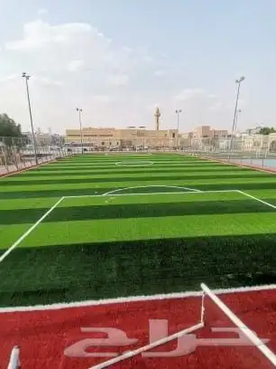 ثيل طبيعي 18