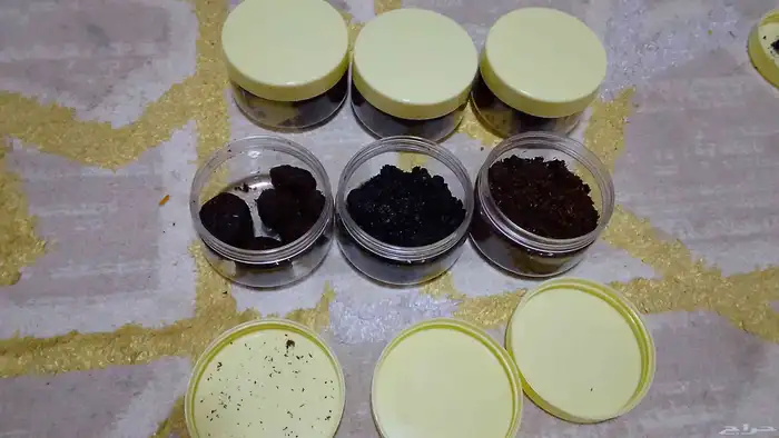 بخور معمول فاخر جدا والكميه محدوده 1