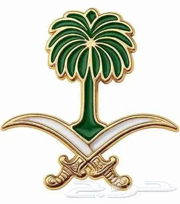 للبيع من الوكيل مباشره قطعه ارض سكني تجاري بالعارص 0