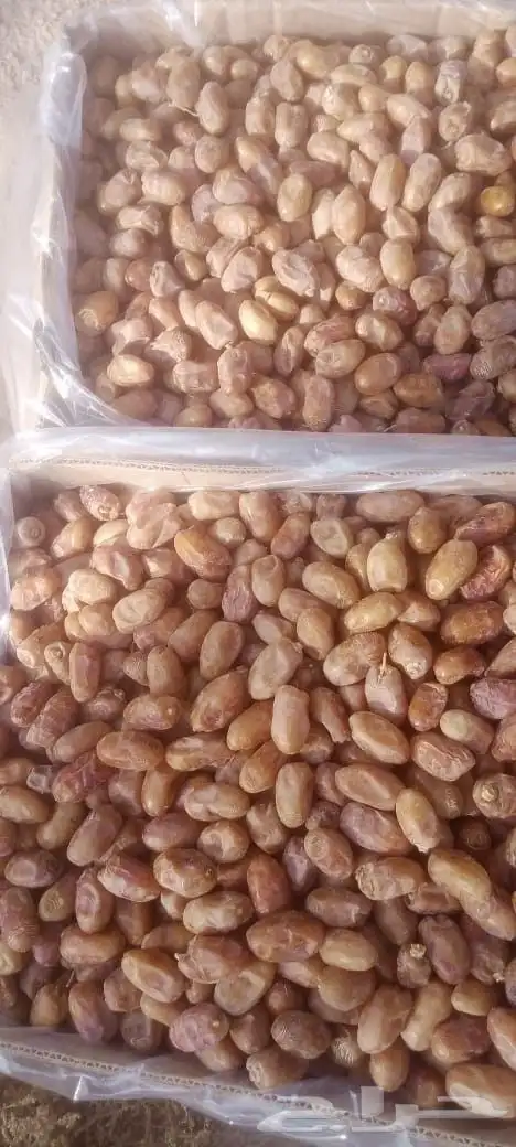 يوجد إخلاص فله 150طن 0