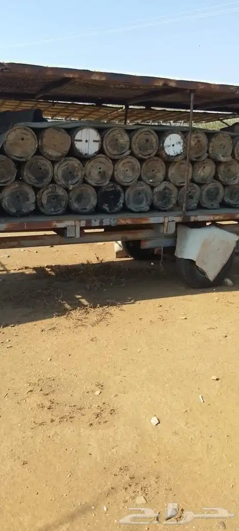 خلايا نحل بلدي للبيع مع عربياتها 2