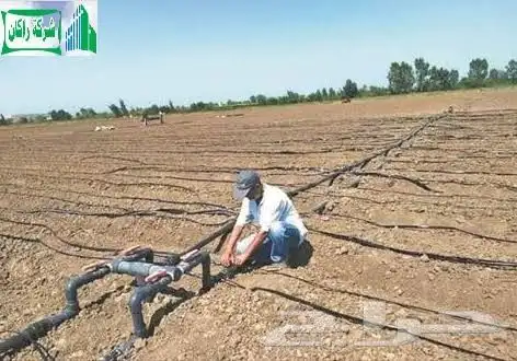 تنسيق حدائق وشبكات ري 3