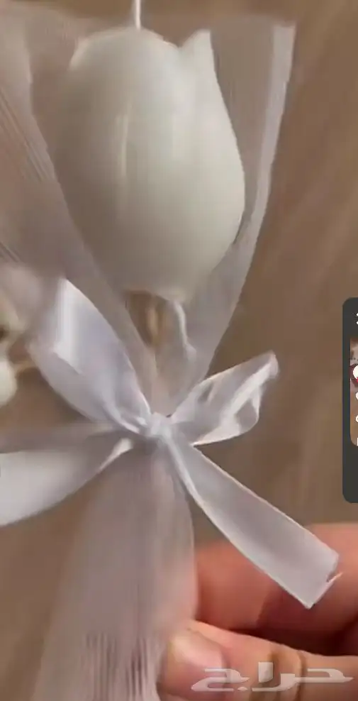 توزيعات شمع زهرة التوليب 0