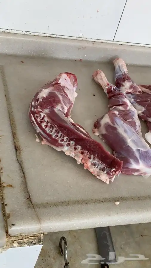 ذبايح مرابي عسير مع التوصيل 40