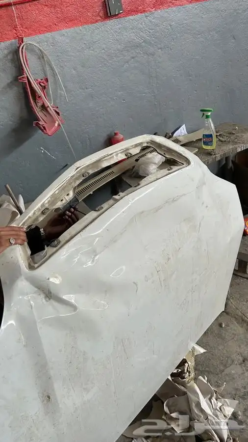 كبوت كابرس مصدوم من2007 الى 2016 2