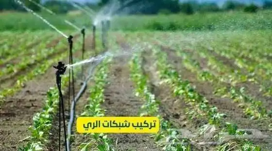 تنسيق حدائق وشبكات ري 4