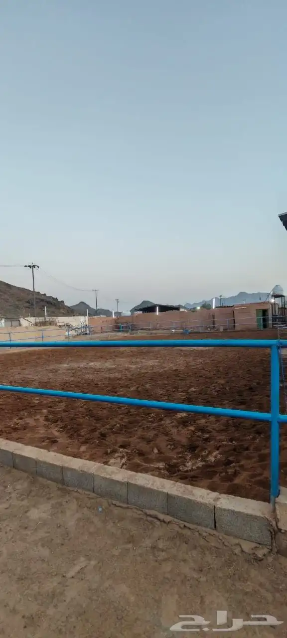 إيواء غرف خيل 3