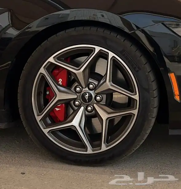 جنوط موستنق وكاله اصليه 2024 0